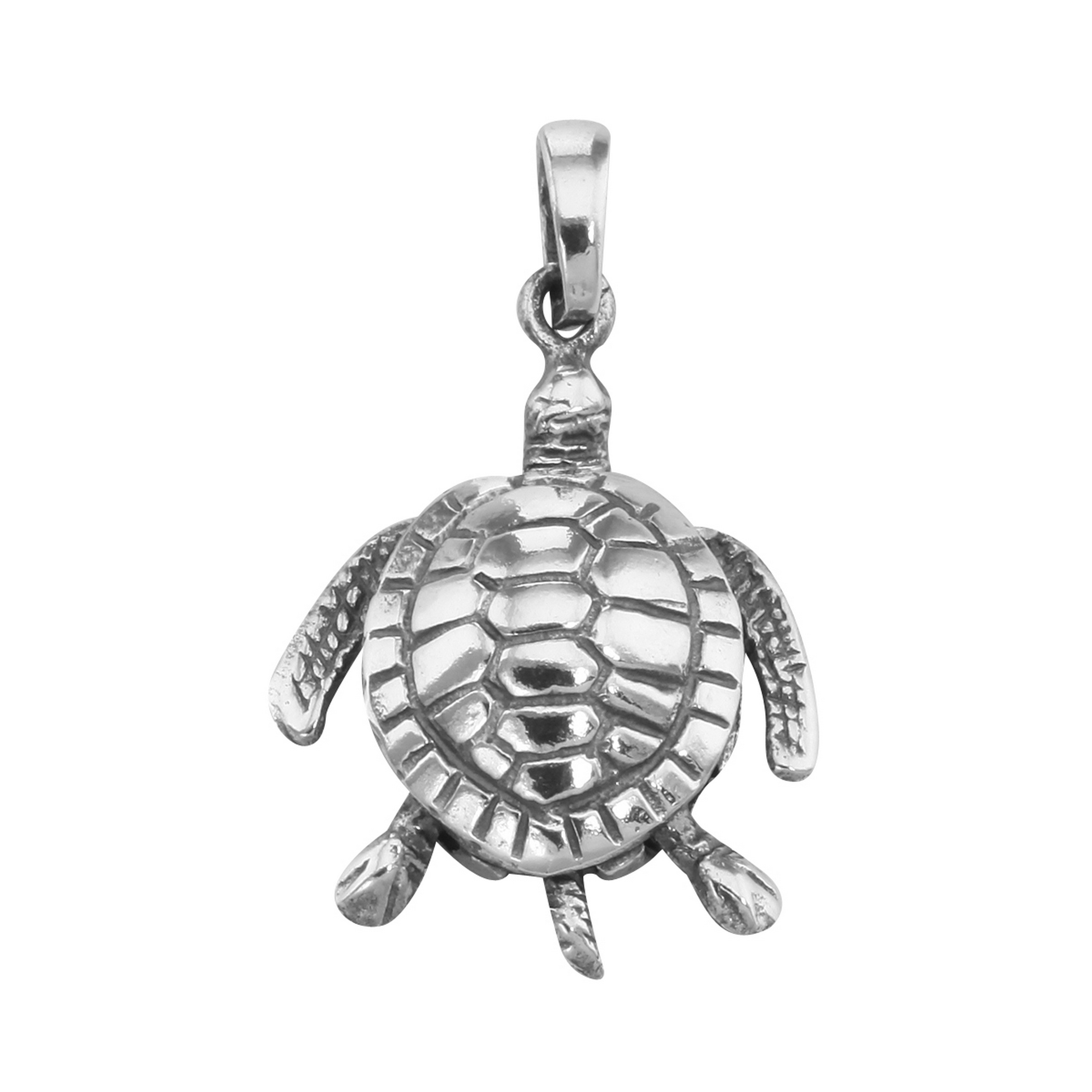 Moveable Sea Turtle Charm Keychain – Sea Turtle, Inc.